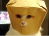 Mooncat