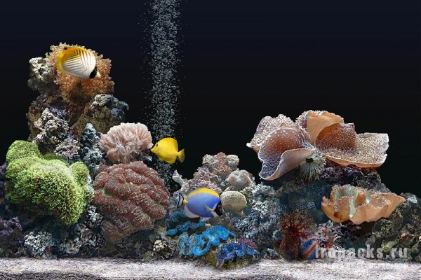 SereneScreen Marine Aquarium 3.3.6381 (Repack & Portable)