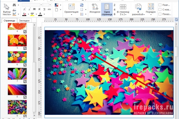 priPrinter Professional 6.9.0.2541 (Repack)