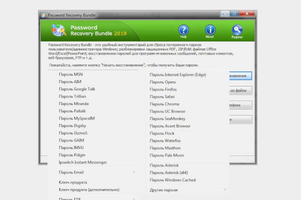 Password Recovery Bundle Enterprise Edition 5.6 (Repack & Portable)