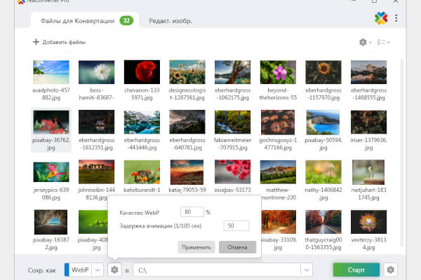 reaConverter Pro 8.0.141 (Repack & Portable)
